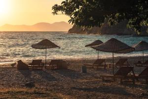 a group of chairs and umbrellas on a beach at Butterfly Valley Beach Glamping in Fethiye