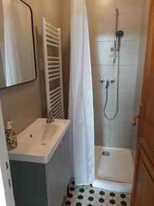 a bathroom with a sink and a shower at Maison Rouge in Montagne +24 photos