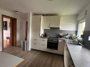 Η κουζίνα ή μικρή κουζίνα στο Ferienappartment mit Homeoffice, 2 Schlafzimmer mit Einzelbetten