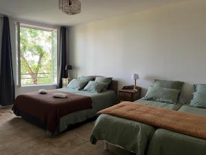een slaapkamer met 2 bedden en een raam bij Domaine Saint Martin le grand in Béziers
