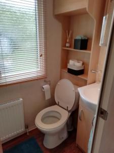 a bathroom with a white toilet and a sink at Chalet op de Holterberg in Holten