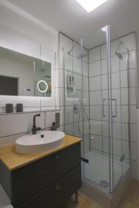 uma casa de banho com um lavatório e uma cabina de duche em vidro. em Appartment am Ziegelwasen em Kirchheim unter Teck