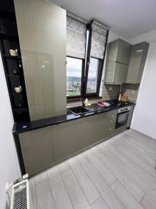 eine Küche mit Spüle und Fenster in der Unterkunft The Bliss in Râmnicu Vâlcea