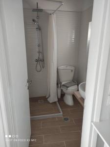 a bathroom with a toilet and a shower at Vetti Rooms in Skiathos