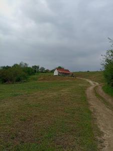 Příroda nedaleko prázdninového domu