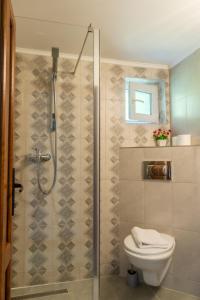 un bagno con wc e doccia in vetro di Vila Rustica a Moieciu de Sus Altre 64 foto
