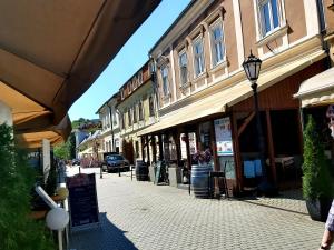 a city street with buildings and a street light at L&eacute;na Apartman - Eger in Eger
