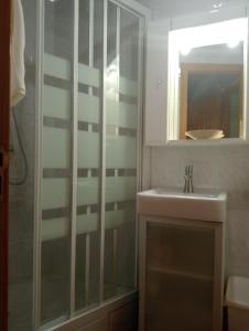 ein Bad mit einer Dusche und einem Waschbecken in der Unterkunft Casa Villastur in Covadonga