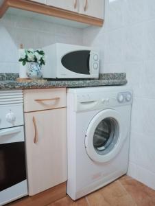 eine Küche mit einer Waschmaschine und einer Mikrowelle in der Unterkunft Casa Villastur in Covadonga