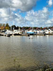 a group of boats docked at a marina at Campingfässer Weener in Weener