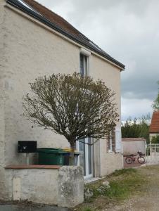 un arbre devant une maison avec une poubelle verte dans l'établissement Au cocon Chapellois, à La Chapelle-Saint-Mesmin