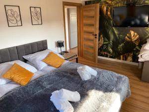 Μια τηλεόραση ή/και κέντρο ψυχαγωγίας στο Apartament nad Szczawniczkiem