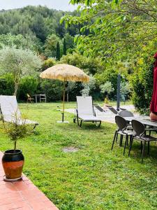 um pátio com uma mesa, cadeiras e um guarda-sol em L Atelier gîte 3 étoiles avec piscine Le Jas des Oliviers em Le Castellet
