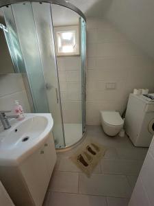 a bathroom with a shower and a sink and a toilet at Apartmani Suza in Selca