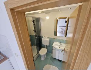 La salle de bains est pourvue de toilettes, d'un lavabo et d'un miroir. dans l'établissement Apartmani Alma, à Podgora
