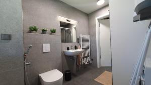 Koupelna v ubytování Apartmán Leny, Dolní Morava + 17 fotografií