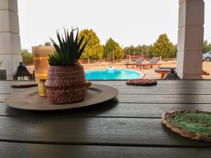een tafel met een plant in een vaas op een dek bij Grey Haven Luxury Villa in Stérnai
