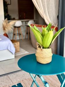uma mesa azul com uma planta em vasos em Appartement Agosta Plage em Porticcio