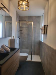 uma casa de banho com um chuveiro, um WC e um lavatório. em Loogiez em Tongeren