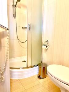 uma casa de banho com um chuveiro e um WC. em Nordian chalet next to Bukovel ski lift em Bukovel