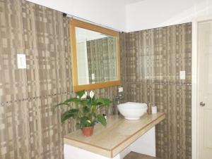 ein Badezimmer mit einem Waschbecken, einem Spiegel und einer Pflanze in der Unterkunft Depto. con Jacuzzi aeropuerto in Chihuahua