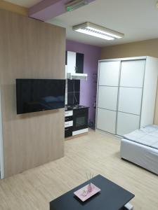 a living room with a bed and a tv at LENI apartman u centru Zajecara in Zaječar