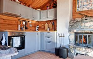 a kitchen with a stove and a stone fireplace at Gorgeous Home In Dlemo With Wifi in Åmli