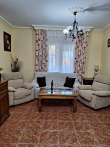 sala de estar con sofá y mesa de centro en VILLA EL SALADO -ALQUILER RURAL ISABEL en Arriate