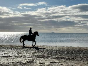 een persoon op een paard op het strand bij Marina View Guest House in Irvine