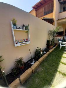 a garden with plants and a wall with a shelf at Nico 12 in Santa Luria