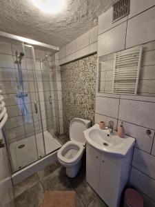 a bathroom with a toilet and a shower and a sink at Stara Kuźnia Radków in Radków