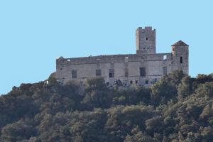 Fotografia z galérie ubytovania Anduze Gîte Les Lauriers au "Petit Clos des Cigales" v destinácii Massillargues-Attuech