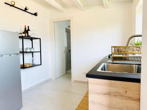 Plemmirio Apartment في سيراكوزا: مطبخ مع مغسلة وثلاجة