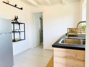 a kitchen with a sink and a refrigerator at Plemmirio Apartments in Siracusa +30 photos