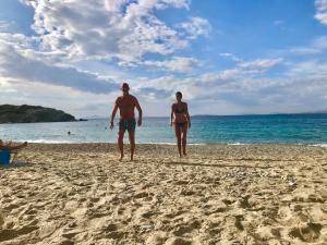 Táj Show holiday homes közelében
