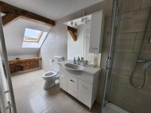 W łazience znajduje się toaleta, umywalka i prysznic. w obiekcie Antique ApartHotel w mieście Alba Iulia