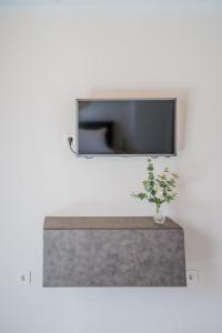 a flat screen tv on a wall with a plant at Elianthos Luxury Villas in Tsoukalades
