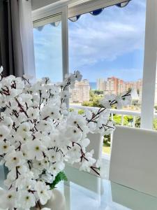Fotografia z galérie ubytovania Apartamento familiar en Playa de San Juan v Alicante