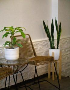a table with two potted plants and a chair at Casa Yuri in Salta