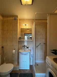 een badkamer met een toilet, een wastafel en een douche bij Sopot Sea Apartments in Sopot
