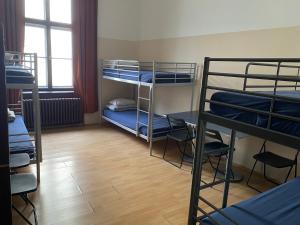 Palanda nebo palandy na pokoji v ubytování Hostel EMMA
