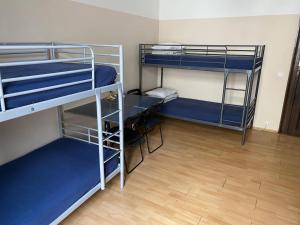 Palanda nebo palandy na pokoji v ubytování Hostel EMMA