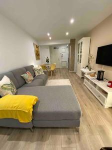 a living room with a gray couch and a television at Apartamento a 100metros de la playa de San Lorenzo in Gijón