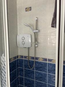 a shower with a shower head in a bathroom at Hillside House- Pine View in Ballinamuck