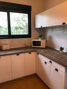 Una cocina o zona de cocina en Villa Rana, con amplio jardín, barbacoa y piscina