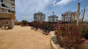 Jazda na bicykli v okolí ubytovania ALLONBAY sun & beach penthouse