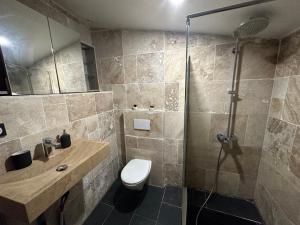 e bagno con doccia, servizi igienici e lavandino. di Agréable Maison avec jacuzzi a Maisdon-sur-Sèvre