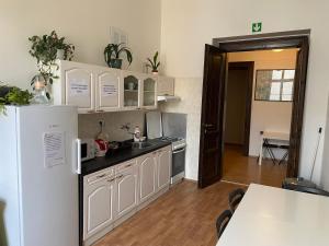 Kuchyň nebo kuchyňský kout v ubytování Hostel EMMA