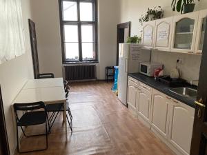 uma cozinha com uma mesa, um lavatório e uma mesa em Hostel EMMA em Praga