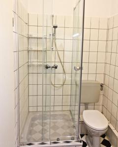 a bathroom with a toilet and a glass shower at Ara Monteursunterkunft, Ferienwohnung Halle Giebichenstein in Giebichenstein
